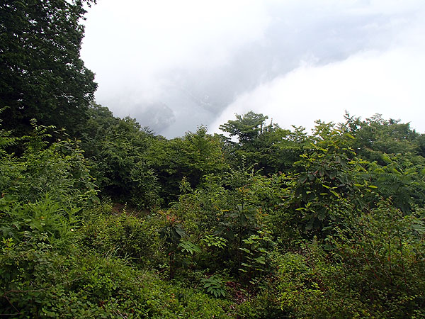雲の間から僅かに奥多摩湖が・・・